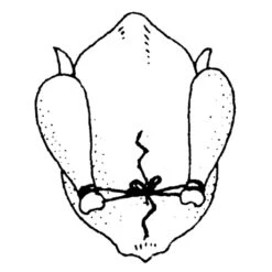 Ficelle De Cuisine 152 M 9 Ficelle De Cuisine 152 M -Le Creusec Boutique 601080 3 1 Ficelle de cuisine 152 m